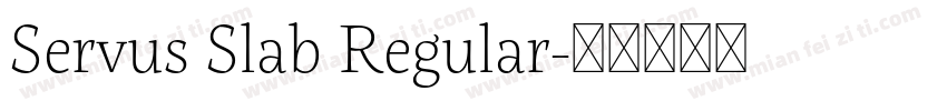Servus Slab Regular字体转换